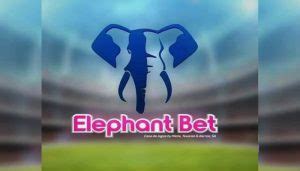 angofootzone|Elephant Bet: new betting site in Africa is 'played' by  .